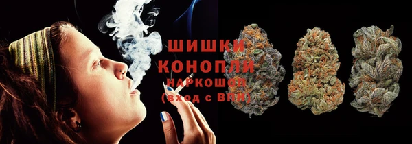 хмурый Абаза