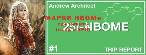 хмурый Абаза