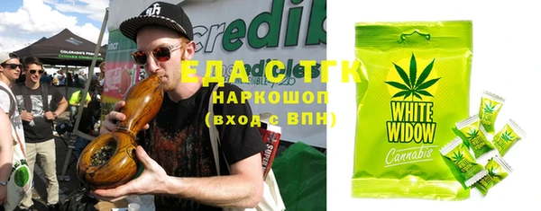 хмурый Абаза