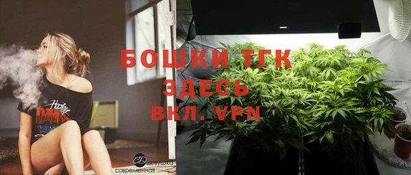 хмурый Абаза