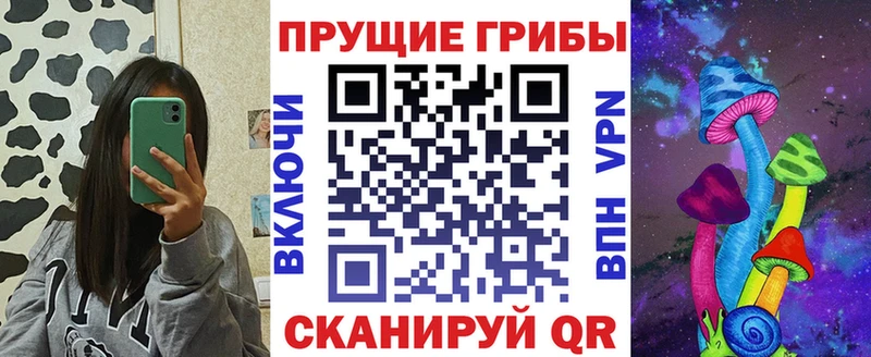 гидра зеркало Курлово Галлюциногенные грибы Cubensis